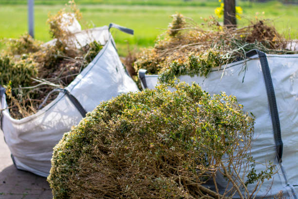 Best Same-Day Junk Removal  in Montezuma, IA